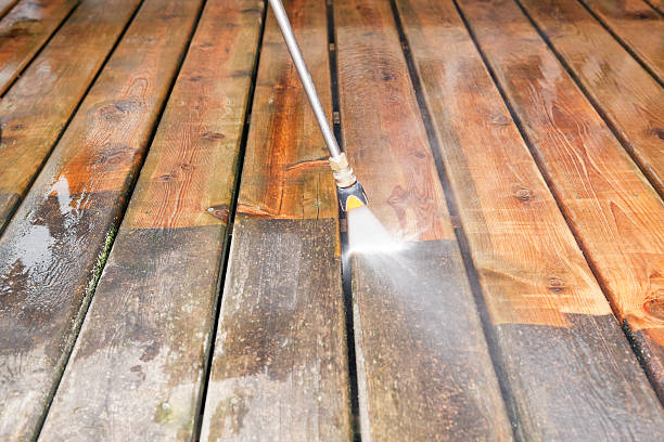 Best Solar Panel Cleaning  in Fowler, IN